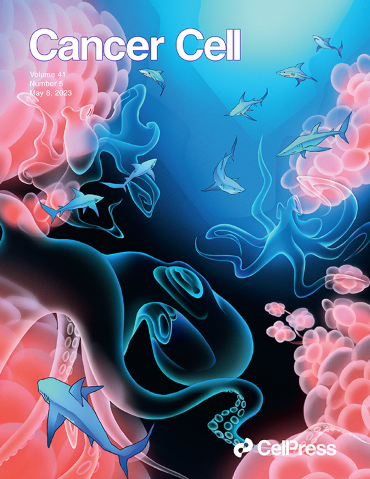 Acquired semi-squamatization during chemotherapy suggests differentiation as a therapeutic strategy for bladder cancer