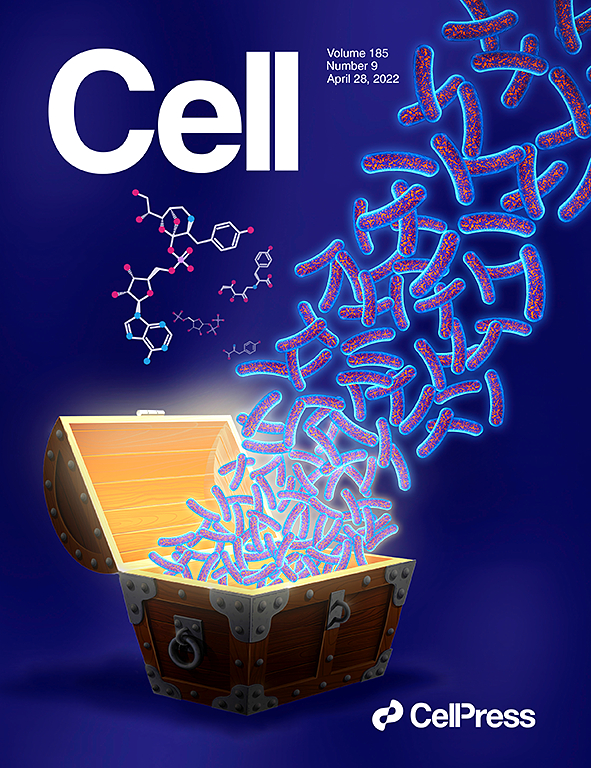 Pervasive Chromatin-RNA Binding Protein Interactions Enable RNA-Based Regulation of Transcription