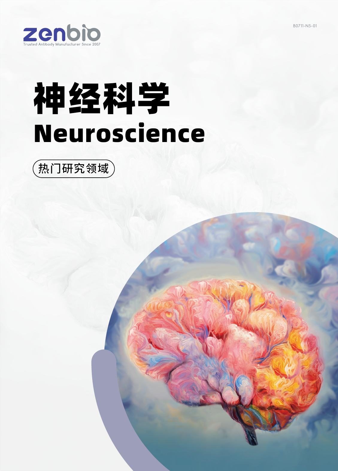 神经科学研究抗体