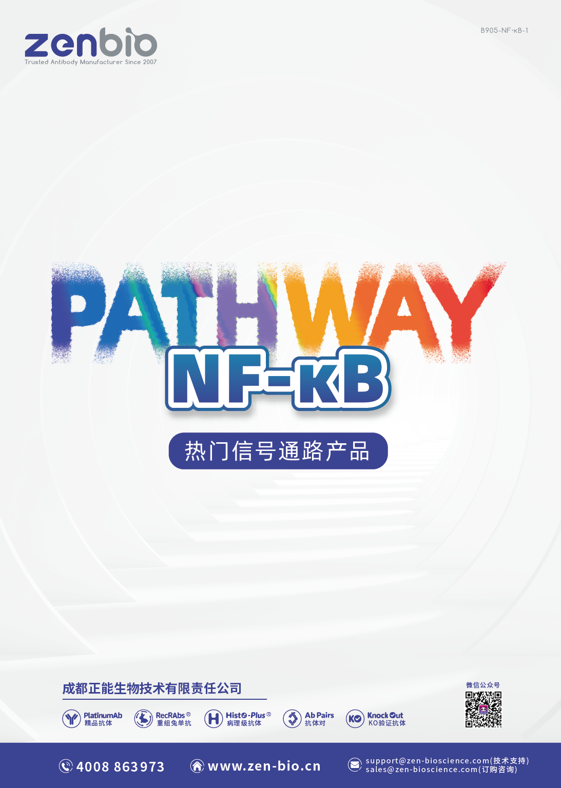 NF-κB通路
