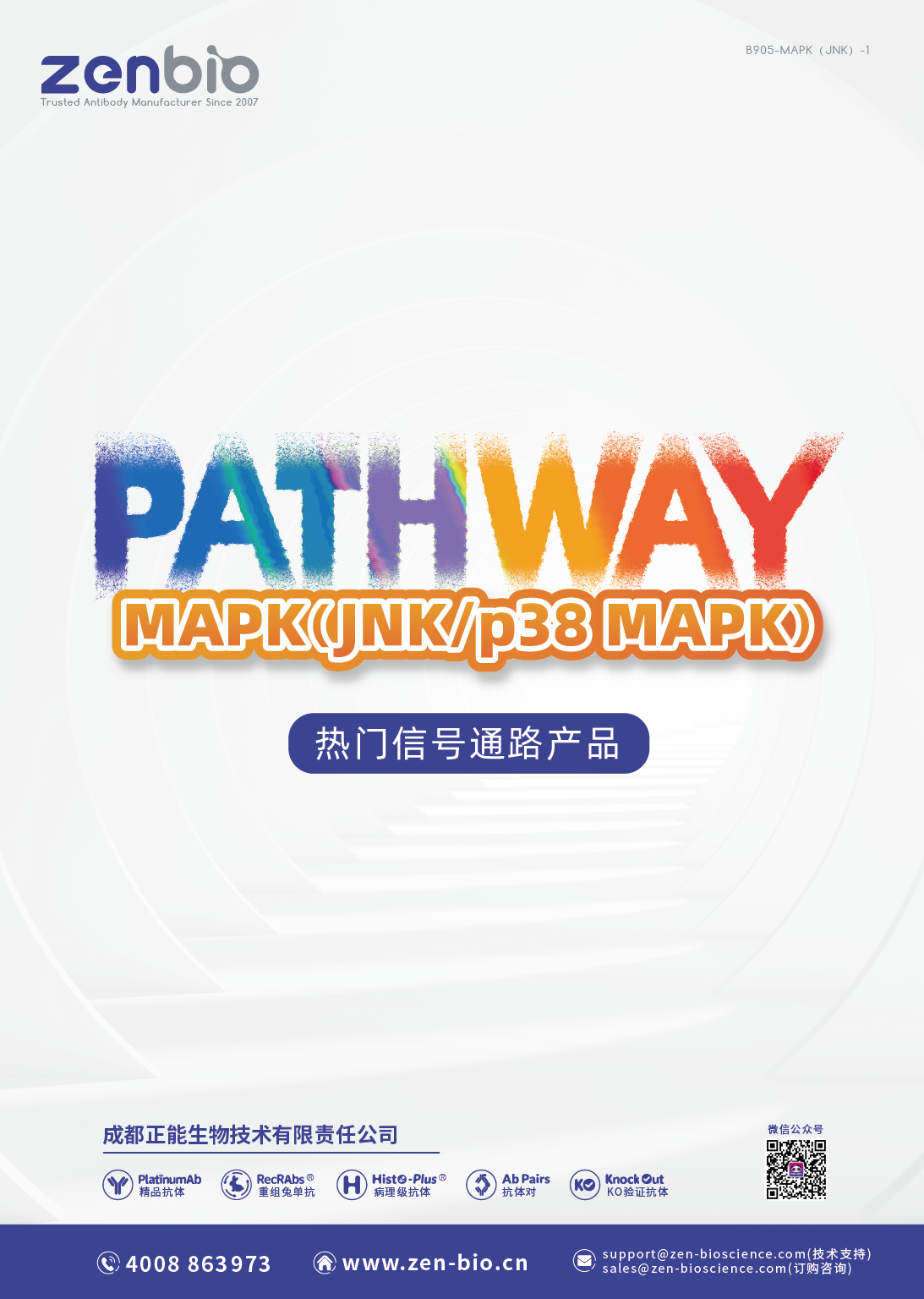 MAPK-JNK-p38 MAPK通路