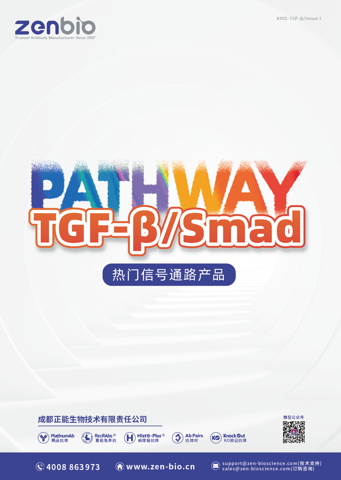 TGF-β-Smad通路