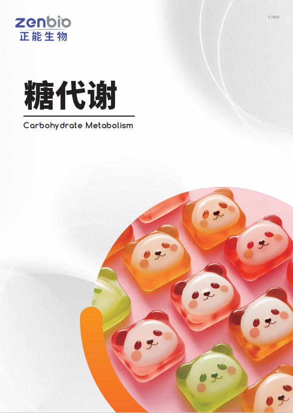 糖代谢