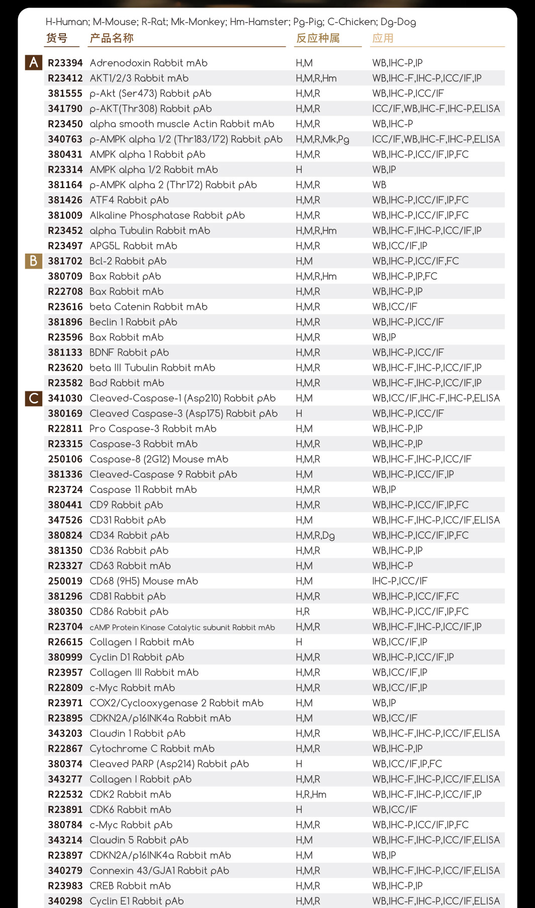 正能TOP200热销货号，一口价限时秒杀~