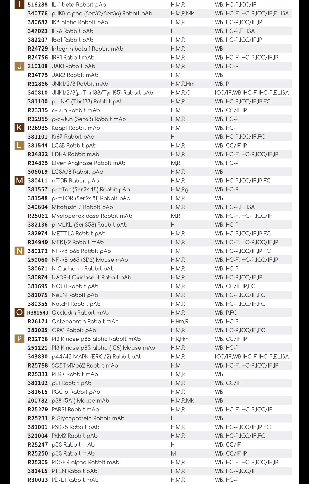 正能TOP200热销货号，一口价限时秒杀~
