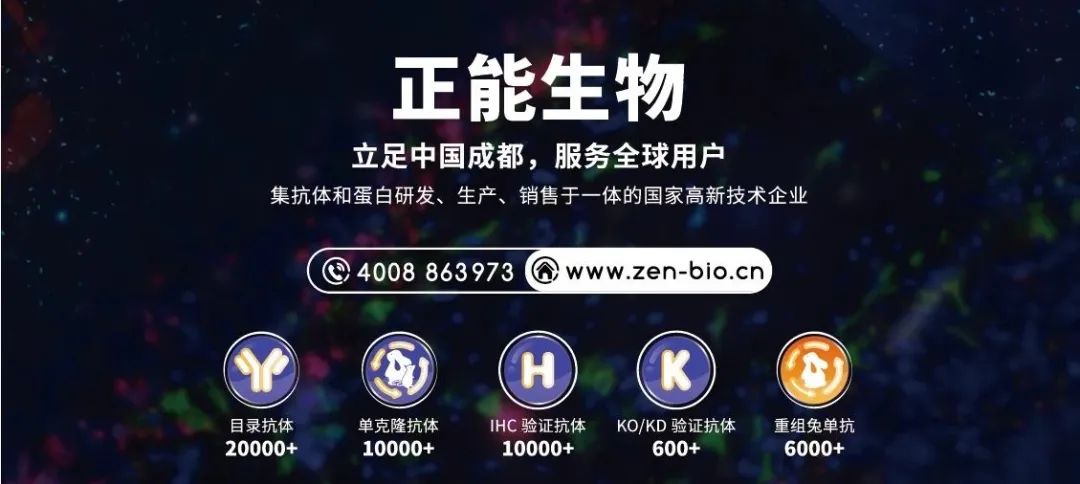 【邀请函】正能生物诚邀您参加第十六届全国免疫学学术大会