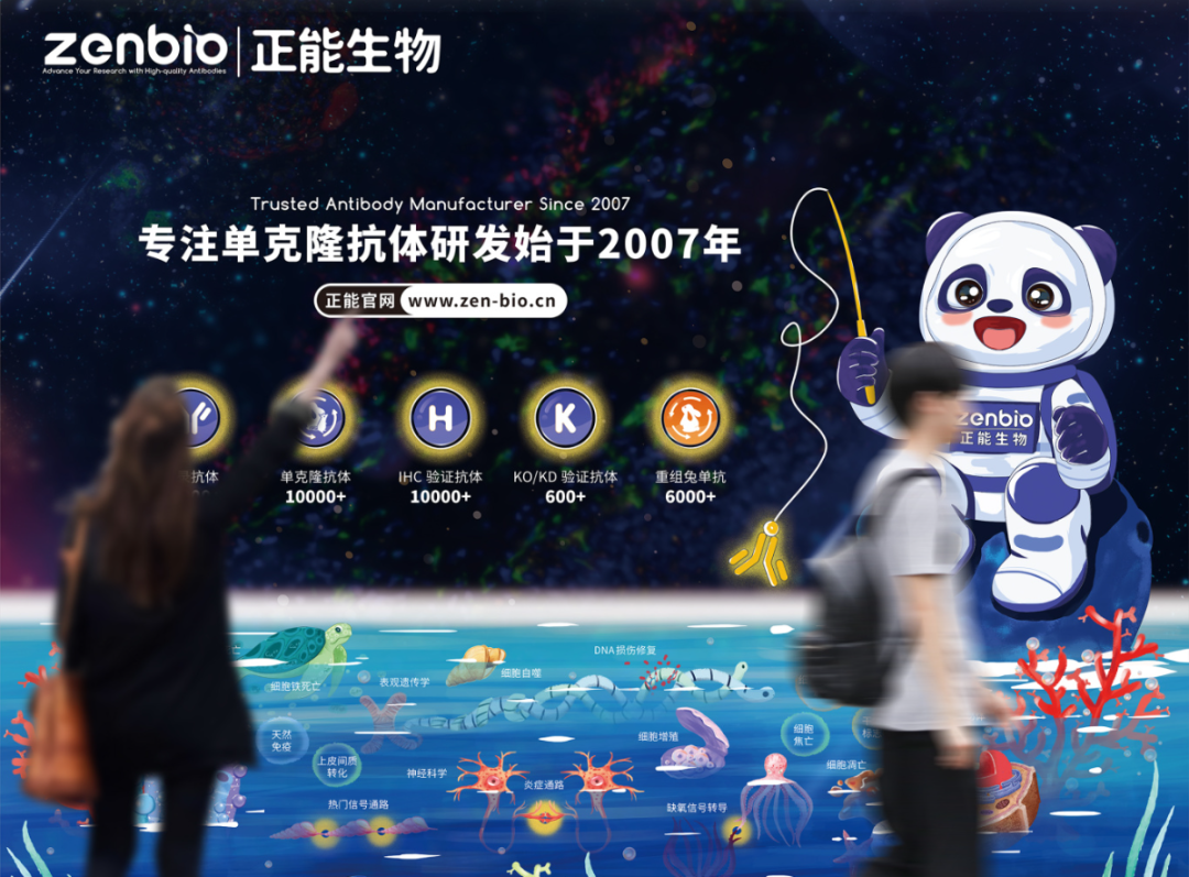 【邀请函】正能生物诚邀您参加第十六届全国免疫学学术大会