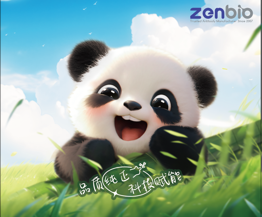 【邀请函】正能生物诚邀您参加第十五届全国免疫学学术大会