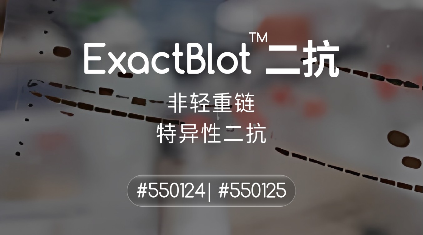 ExactBlot™非轻重链特异性二抗