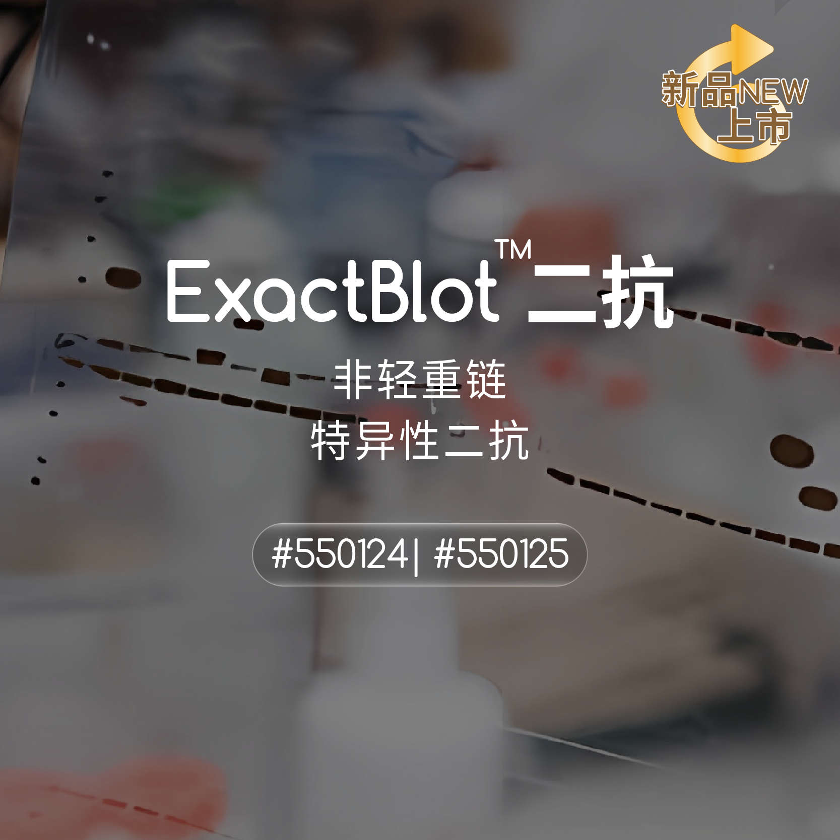 ExactBlot™非轻重链特异性IP二抗